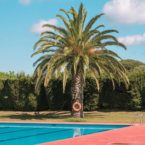Piscina Club Tennis Llafranc